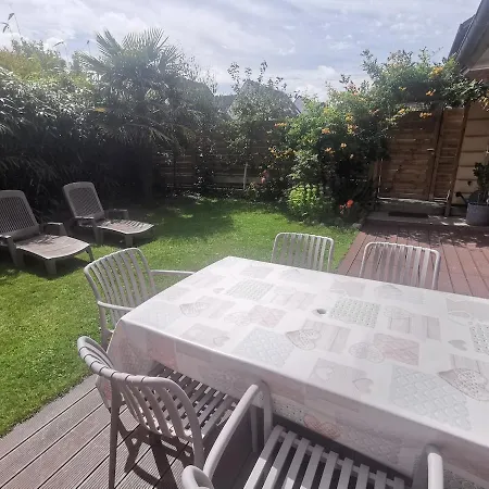 Les Pelicans Le Tréport