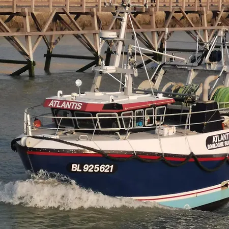 Les Pelicans