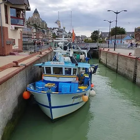 Les Pelicans